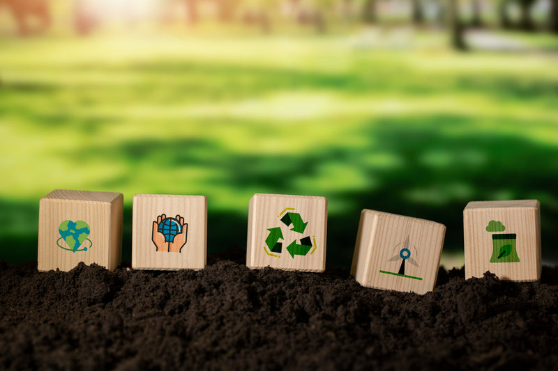 Imagem do artigo: Sustentabilidade & Consumo Consciente