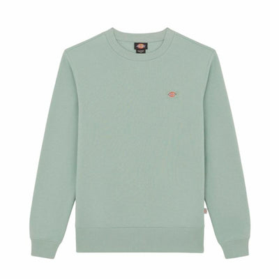 Polar sem Capuz Homem Dickies Oakport Azul Verde L