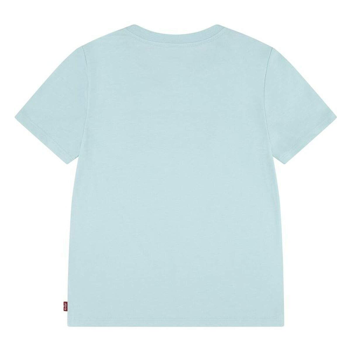 V5HB00A5C0EEDC0884DFC7348A780B13EFCR4722279P2