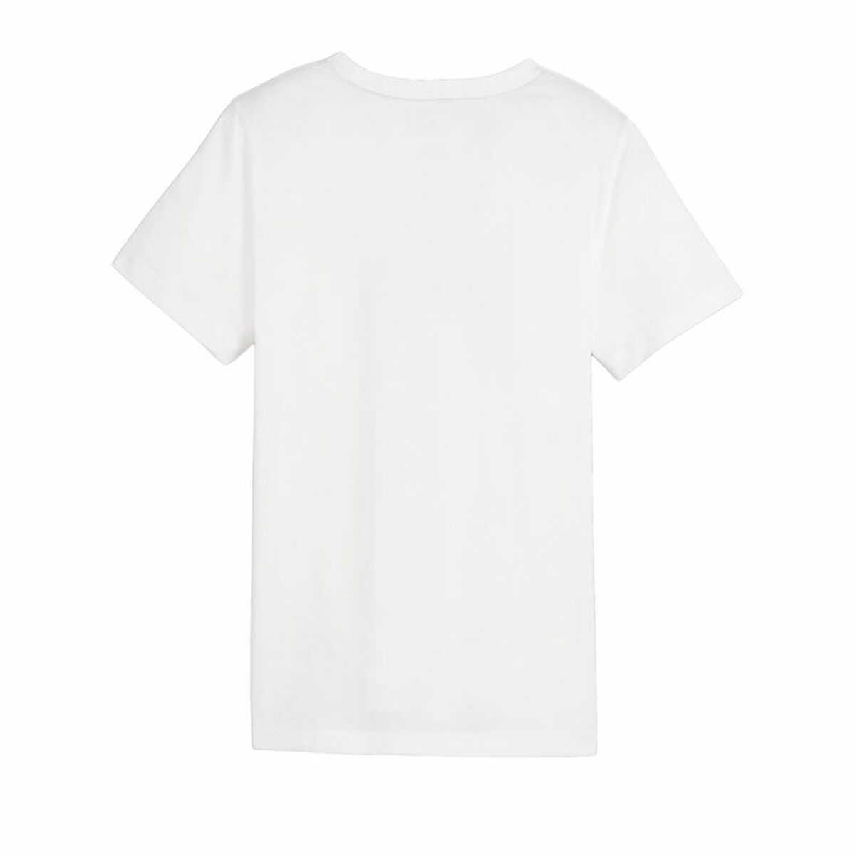 V6HA571D587926EC2B2BEF5EDB8B5B7B0E5R4660883P2