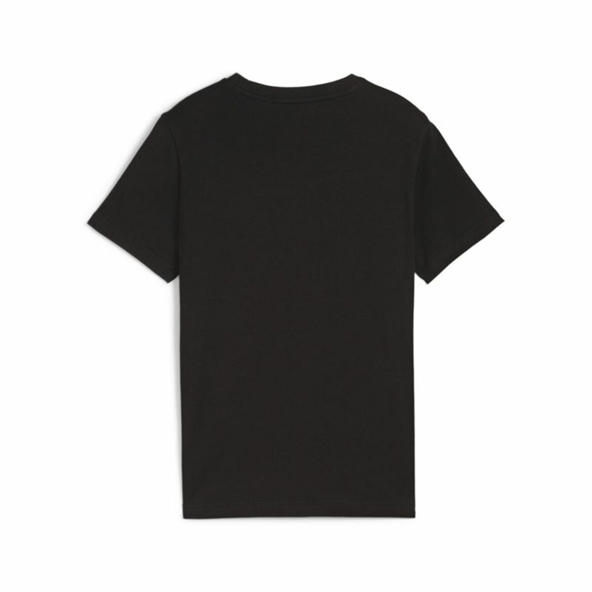 V6H4FBB7D4671916A0D59105AE0C46D0012R4666602P2