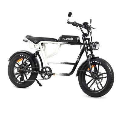 Bicicleta Elétrica Youin BK7000 MIAMI 250 W 20